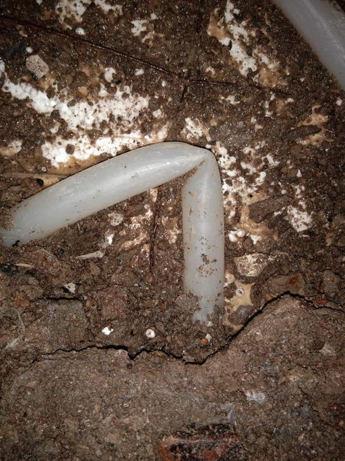 台山堵点精准查找